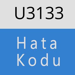 U3133 hatasi