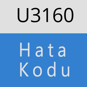 U3160 hatasi