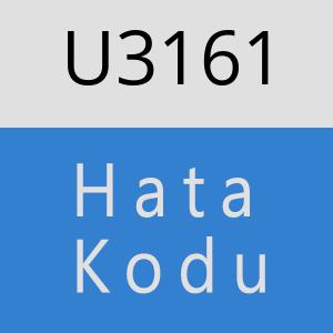 U3161 hatasi