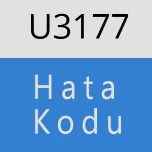 U3177 hatasi