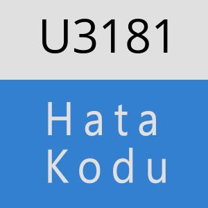 U3181 hatasi