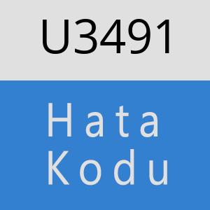 U3491 hatasi