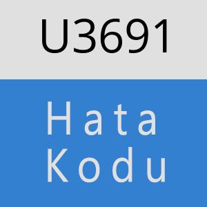 U3691 hatasi