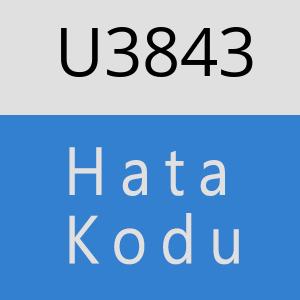 U3843 hatasi