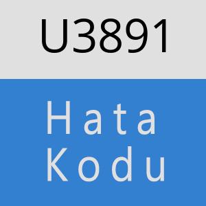 U3891 hatasi