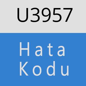 U3957 hatasi